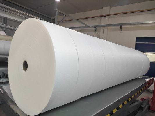 30% Viscose 70% Polyester Fibre Spunlace Nonwoven Germany TrüTzschler